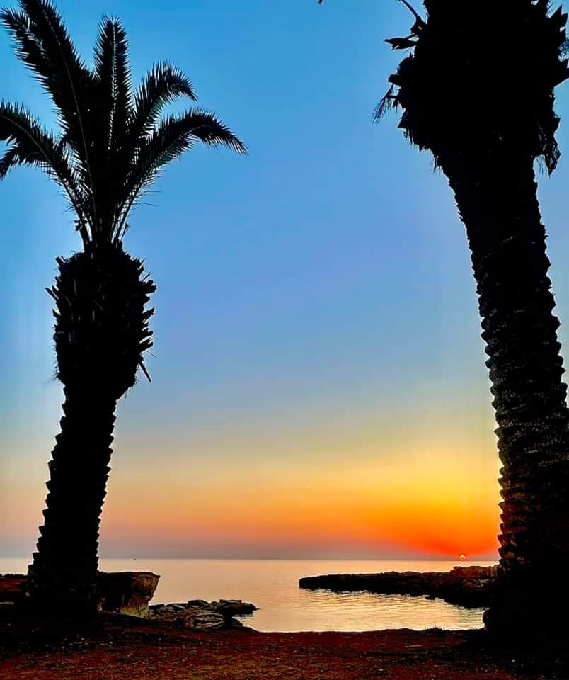 Cyprus Dream Holiday Galéria 106